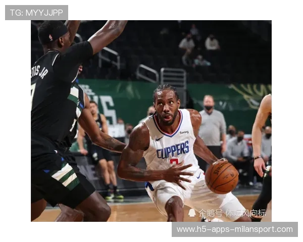 快船又有冠军相了