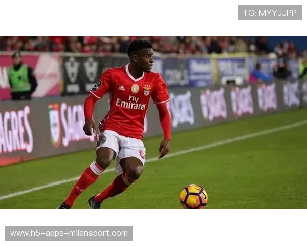 本菲卡将扩展其在南美的球探网络与数据采集