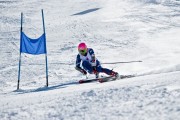 女子百米栏名将选择参加室内赛寻找感觉，女子100米栏