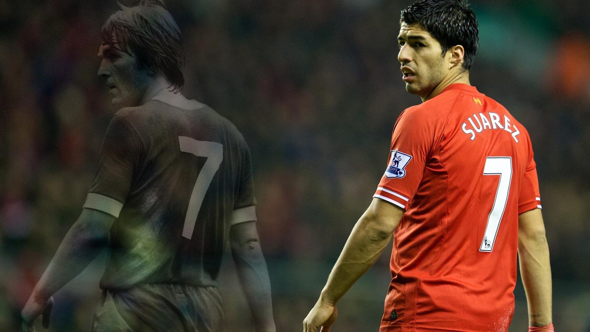 世界杯场地的环境保护措施,足球世界杯对场馆的要求