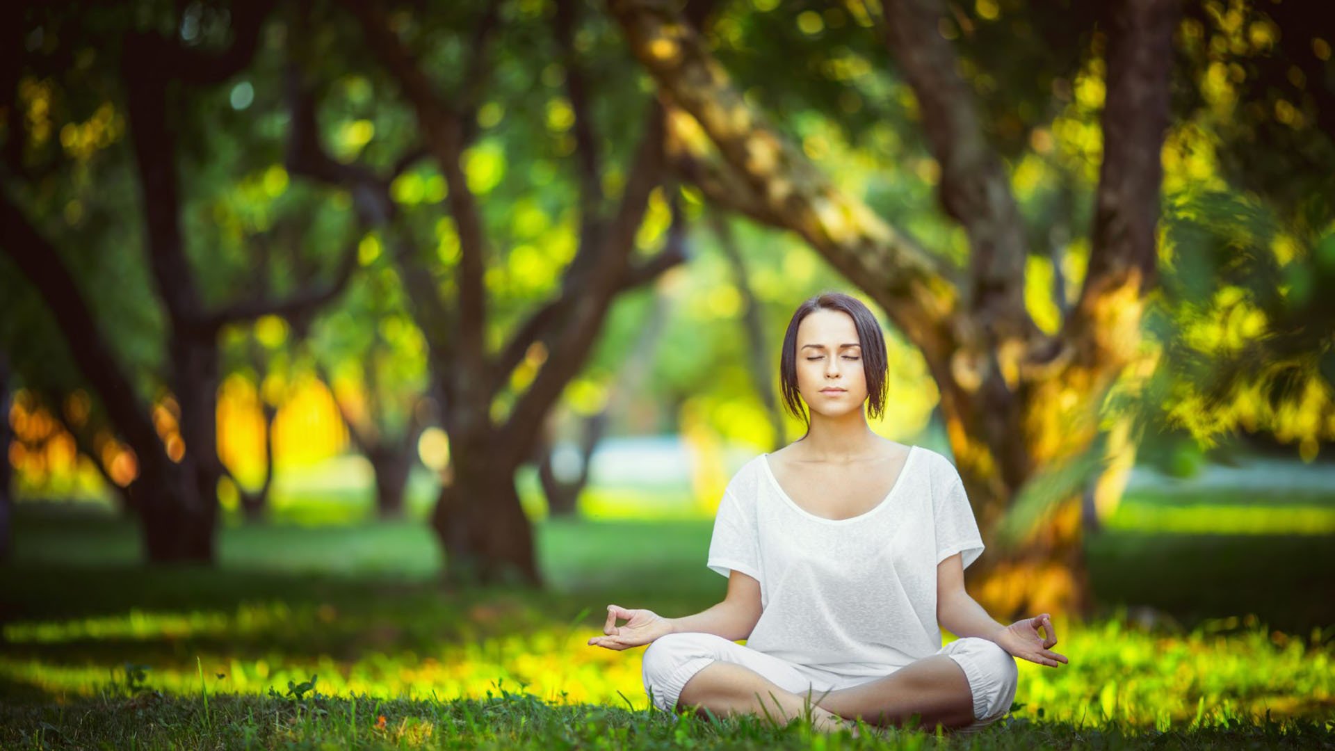 世界杯揭幕战对阵预告：墨西哥队将在阿兹特克球场迎战南非。，世界杯 墨西哥